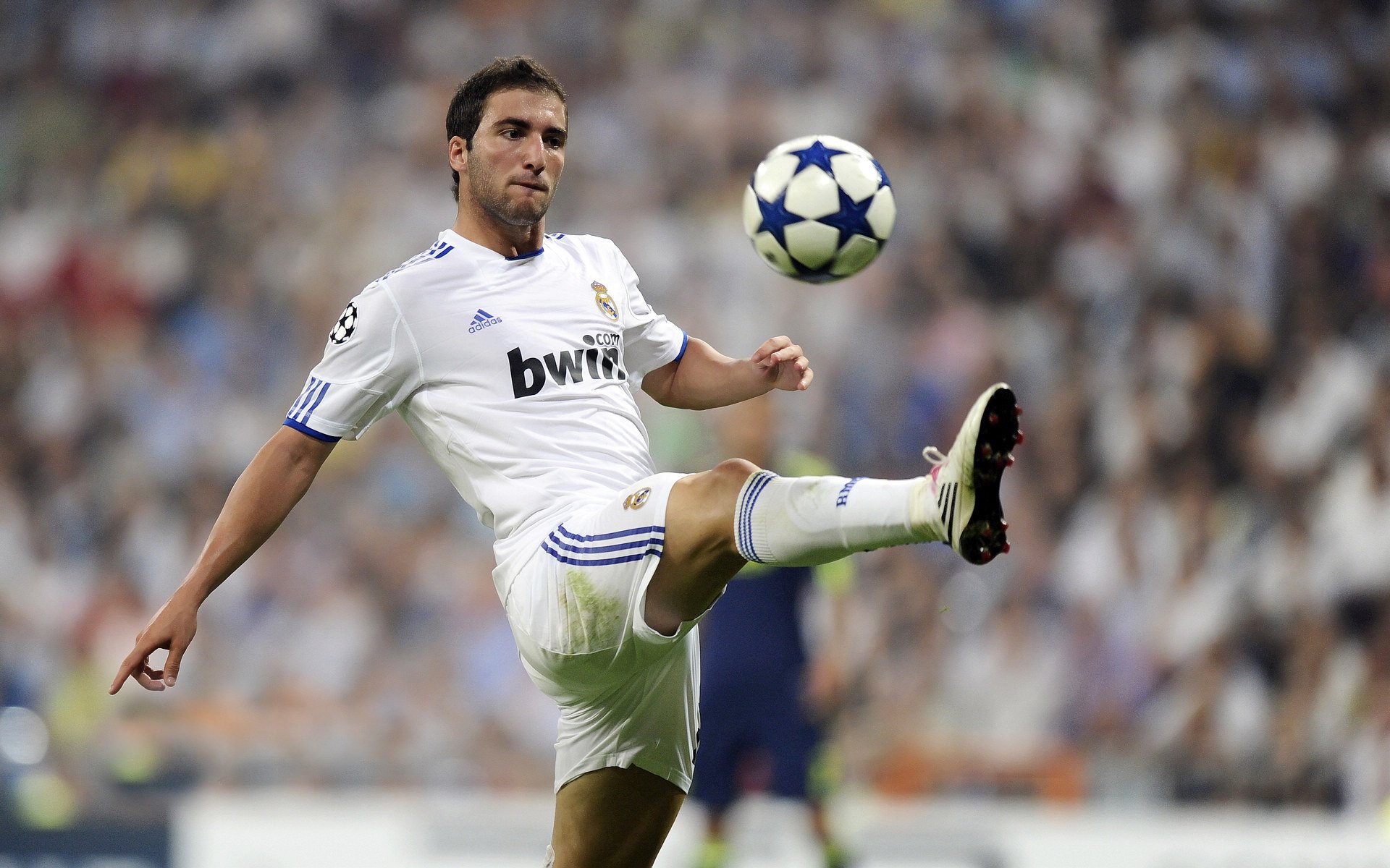 _户外足球场：绿色空间中的运动新体验_，室外足球场标准尺寸